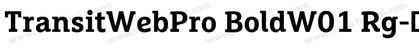 TransitWebPro BoldW01 Rg字体转换